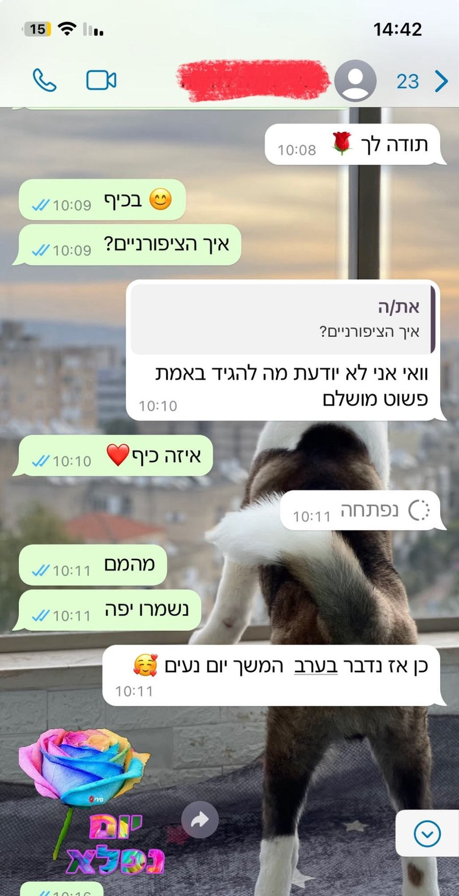 וואי, אני לא יודעת מה להגיד באמת — פשוט מושלם